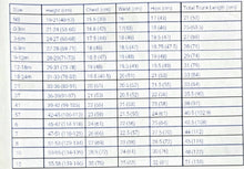 Load image into Gallery viewer, Wren romper &amp; mystery wren rompers
